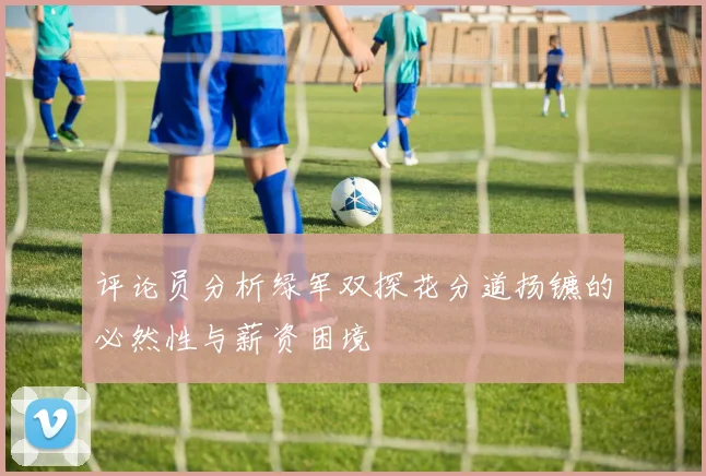 评论员分析绿军双探花分道扬镳的必然性与薪资困境