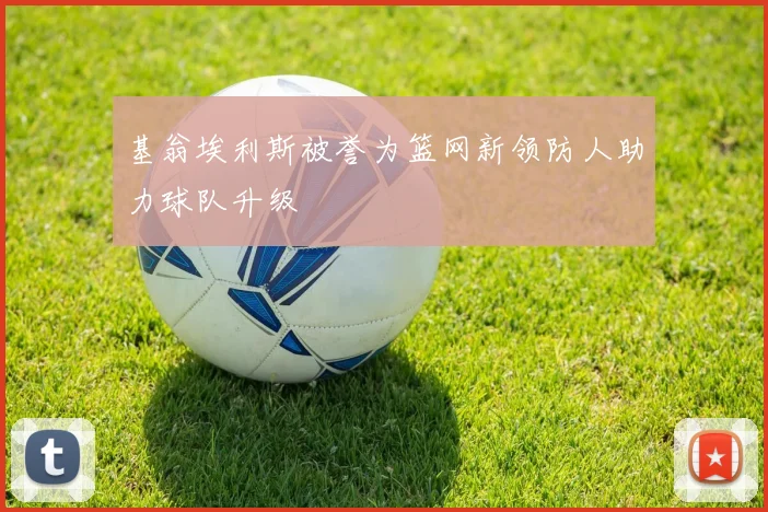 基翁埃利斯被誉为篮网新领防人助力球队升级
