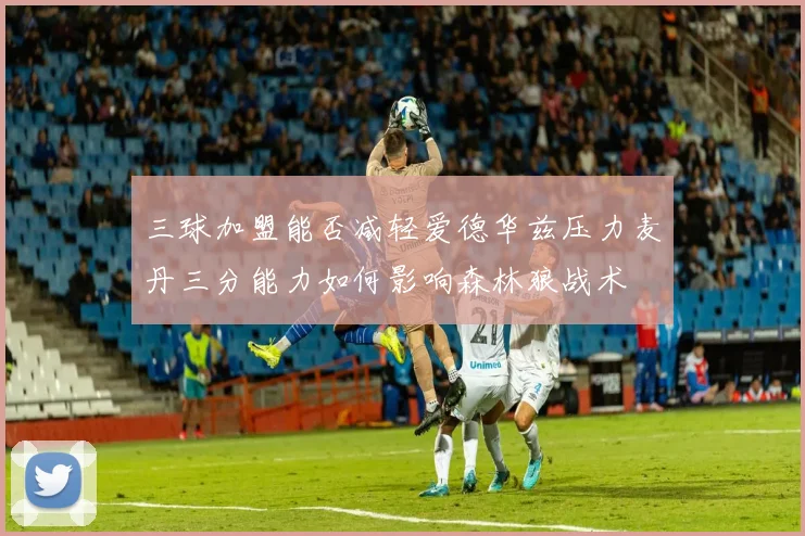 三球加盟能否减轻爱德华兹压力麦丹三分能力如何影响森林狼战术