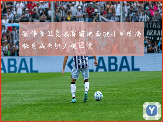 张伟丽卫冕战赛前地面缠斗训练揭秘或成决胜关键因素